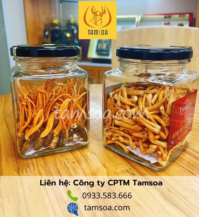 Đông trùng hạ thảo chứa hoạt chất Beta-Glucan