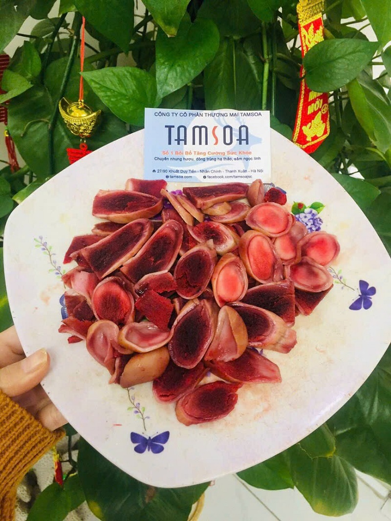 Nhung hươu dùng trẻ em