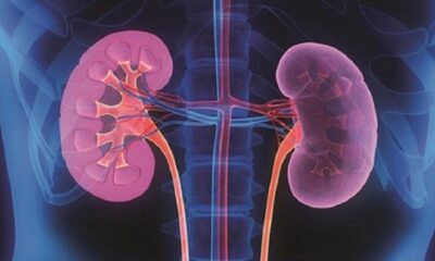 Thận có mối liên hệ mật thiết với gân, cốt