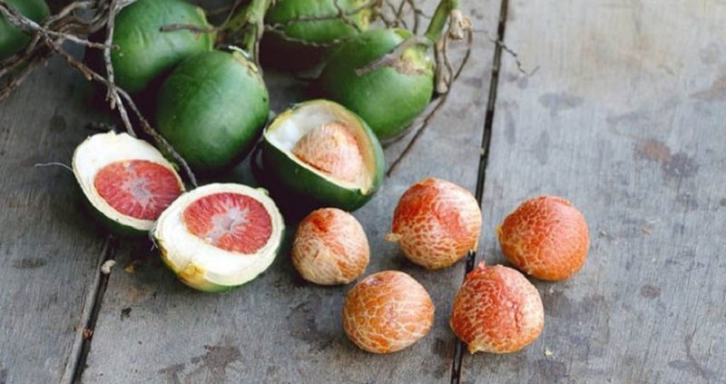 Hạt cau vị thuốc hỗ trợ phục hồi sức khỏe người viên đại tràng, viêm dạ dày