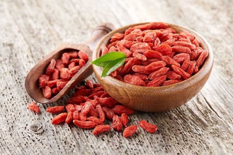 Kỷ tử – Loại thảo dược giúp chữa lưng gối mỏi yếu