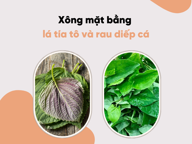 Xông mặt bằng lá tía tô và rau diếp cá