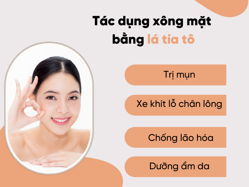 Tác dụng xông mặt bằng lá tía tô bạn đã biết chưa