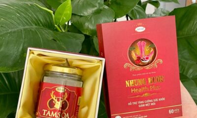 Cách sử dụng bột nhung hươu hiệu quả nhất