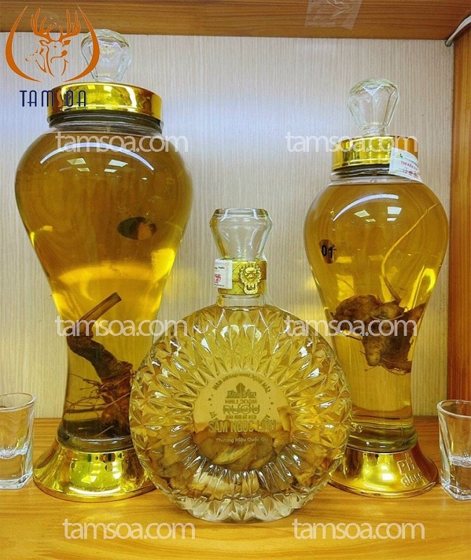 Hướng dẫn cách ngâm rượu Sâm Ngọc Linh