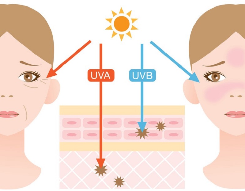 Sử dụng kem chống nắng hàng ngày để tránh tác động của tia UV đến làn da