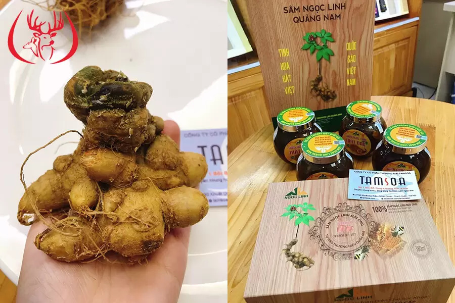 Sâm Ngọc Linh Mật Ong của thương hiệu Sâm Ngọc Linh Quảng Nam của Tamsoa đang được nhiều người tin dùng