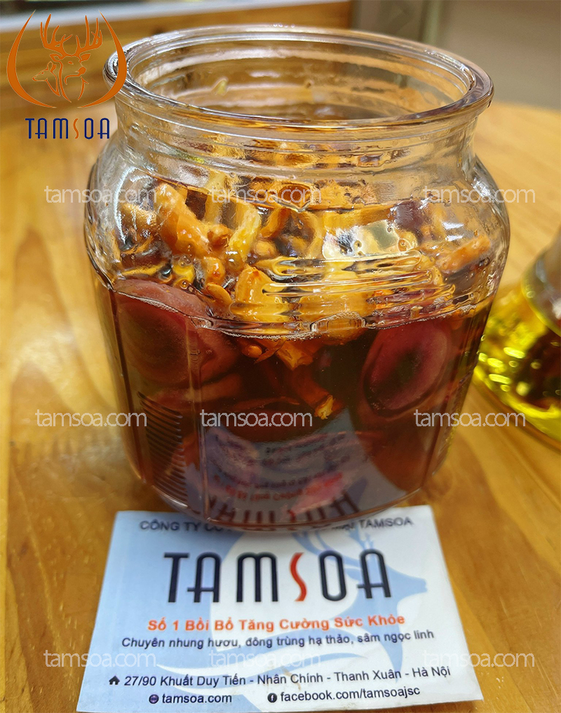 Đông trùng hạ thảo ngâm mật ong
