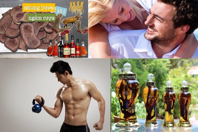 Cách dùng nhung hươu hạ huyết áp, phòng chống tai biến