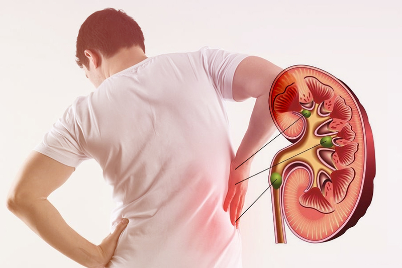 Thận yếu có biểu hiện thế nào?