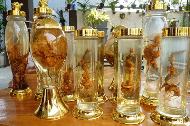 Sâm Ngọc Linh ngâm rượu