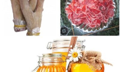 Những dạng nhung hươu khác nhau cần có liều dùng khác nhau