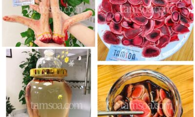 Các sản phẩm nhung hươu Tamsoa