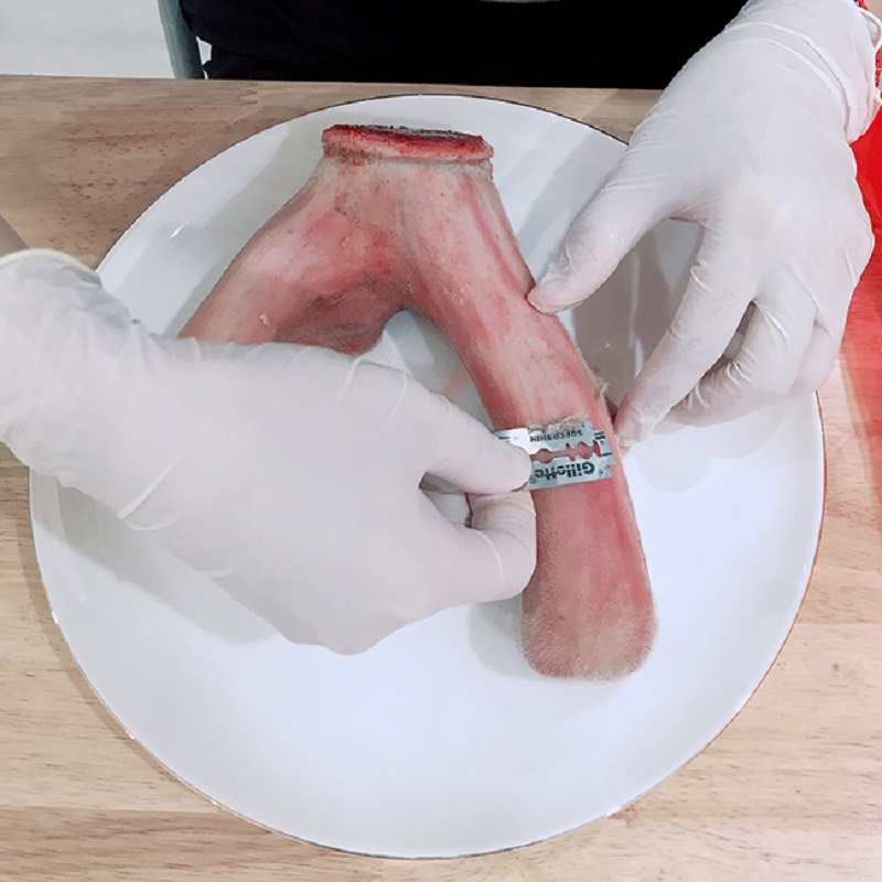 Cách sơ chế nhung hươu để ngâm rượu – cần phải làm sạch lông trên thân nhung hươu