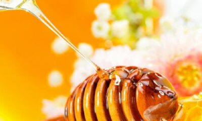 Mật ong rừng nguyên chất