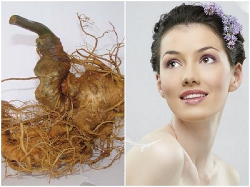 Công dụng của Sâm Ngọc Linh với phụ nữ