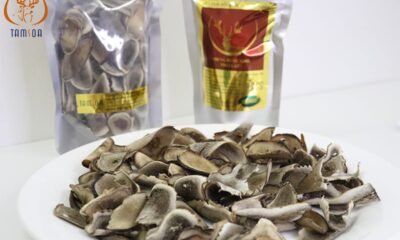 Những lý do bạn nên mua hàng tại Tamsoa