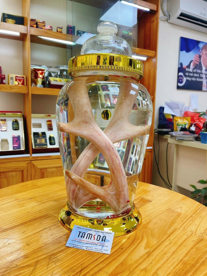 Nhung hươu tăng cường sinh lý cho cả nam và nữ