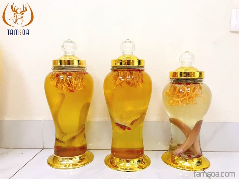 Ngâm đông trùng hạ thảo với rượu sử dụng thường xuyên giúp tăng cường sức khỏe