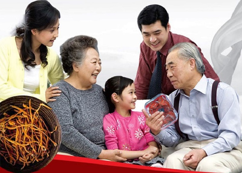 Đông trùng hạ thảo giúp nâng cao hệ miễn dịch cho người già