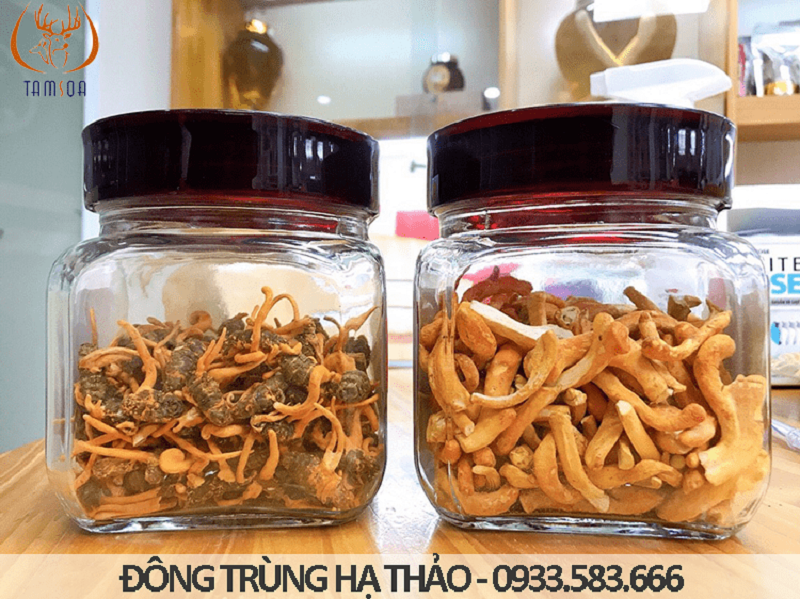 Đông trùng hạ thảo Tamsoa