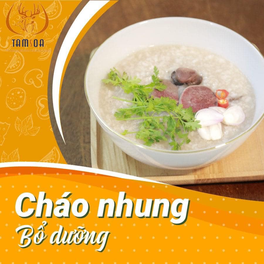 Cháo nhung hươu Cháo nhung hươu