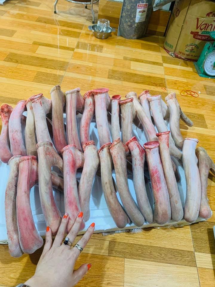 Mua lộc hươu tươi khô đủ loại tại Tamsoa Mua lộc hươu tươi khô đủ loại tại Tamsoa