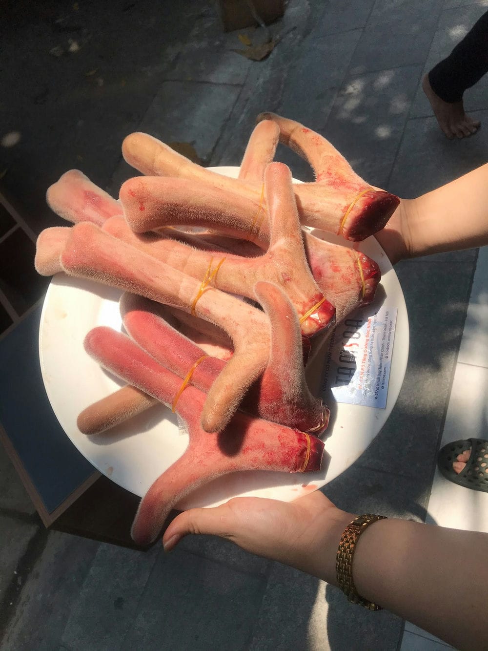 lộc nhung có tác dụng cải thiện mệt mỏi, mất ngủ lộc nhung có tác dụng cải thiện mệt mỏi, mất ngủ