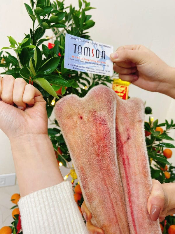 Cách sử dụng nhung hươu để giảm căng thẳng mệt mỏi