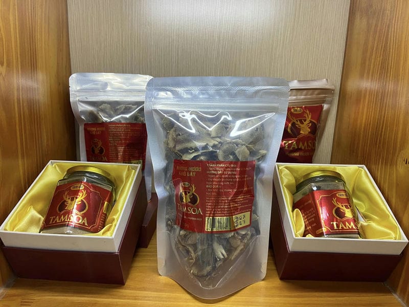 Công dụng của nhung hươu trong việc tăng cường trí nhớ