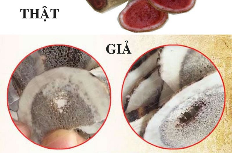 Cách phân biệt nhung hươu thật và giả Cách phân biệt nhung hươu thật và giả