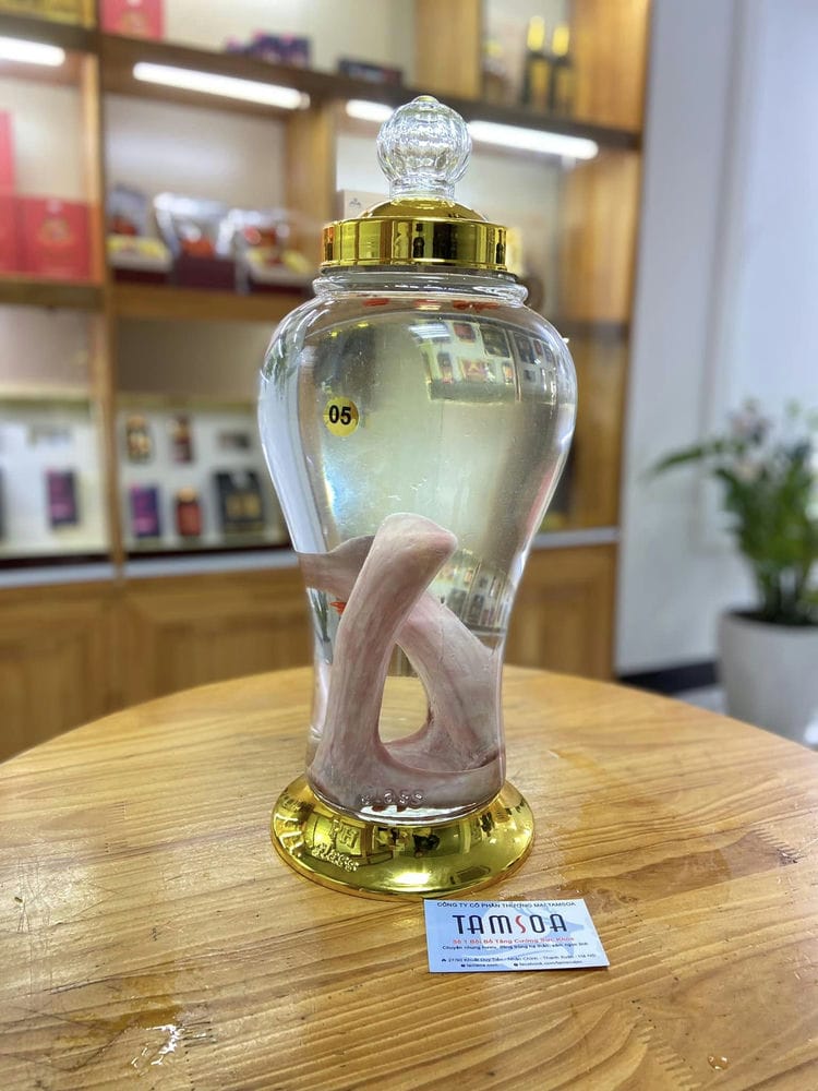 Cách sử dụng rượu nhung hươu Cách sử dụng rượu nhung hươu