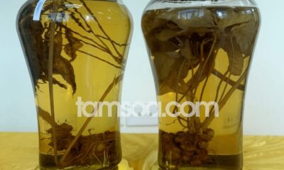 Nguồn gốc và thành phần