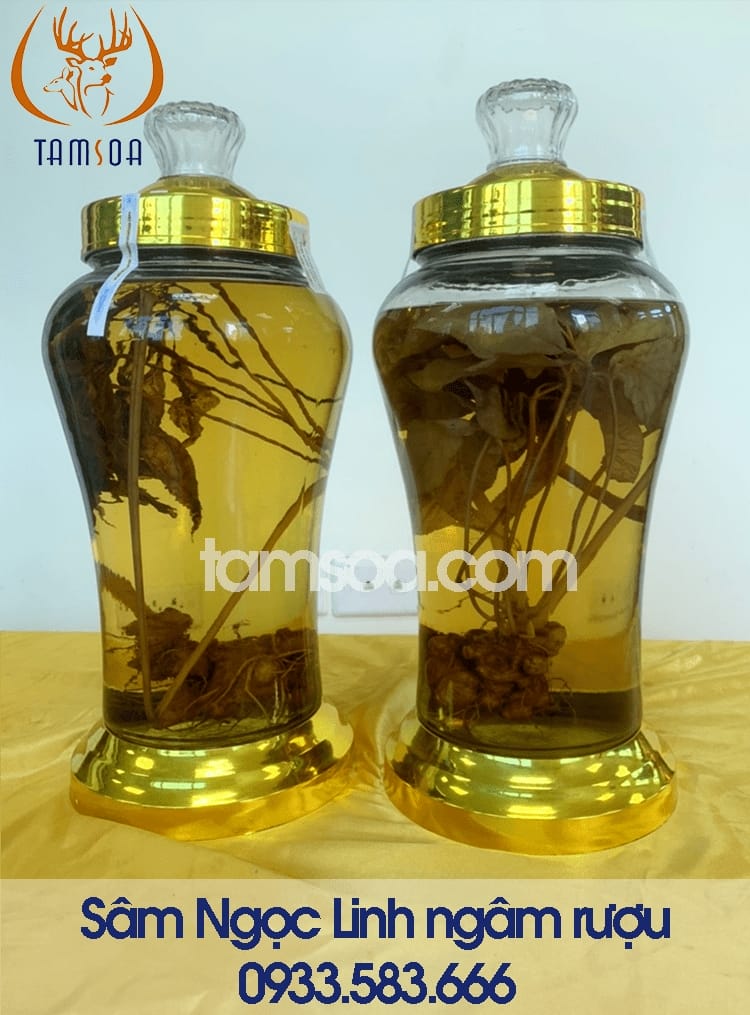 Nguồn gốc và thành phần