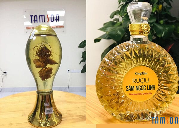 Cách sử dụng rượu sâm Ngọc Linh