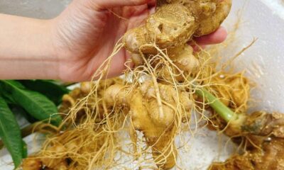 Tamsoa - Nơi bạn đặt trọn niềm tin