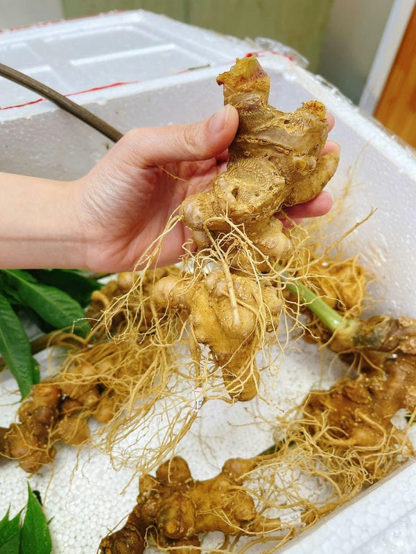 Tamsoa - Nơi bạn đặt trọn niềm tin Tamsoa - Nơi bạn đặt trọn niềm tin