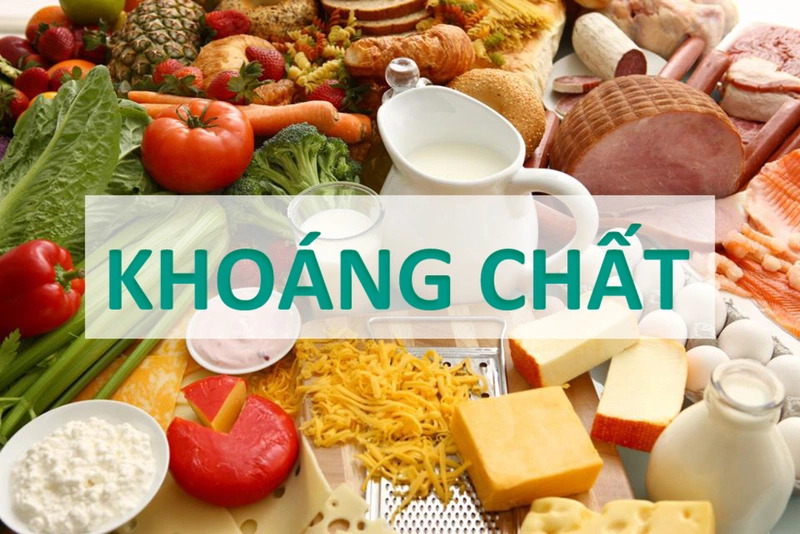 Vai trò thiết yếu của khoáng chất Vai trò thiết yếu của khoáng chất