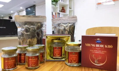 Nên chọn nhung hươu khô bột hay nhưng hươu khô lát