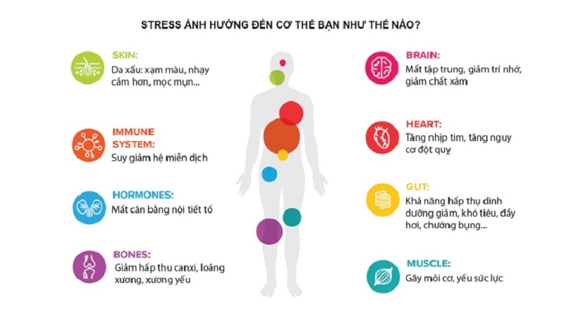 Tác hại của căng thẳng, stress Tác hại của căng thẳng, stress