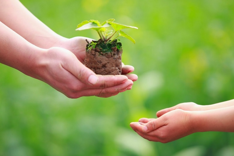 Các bí quyết sống xanh hiệu quả Các bí quyết sống xanh hiệu quả