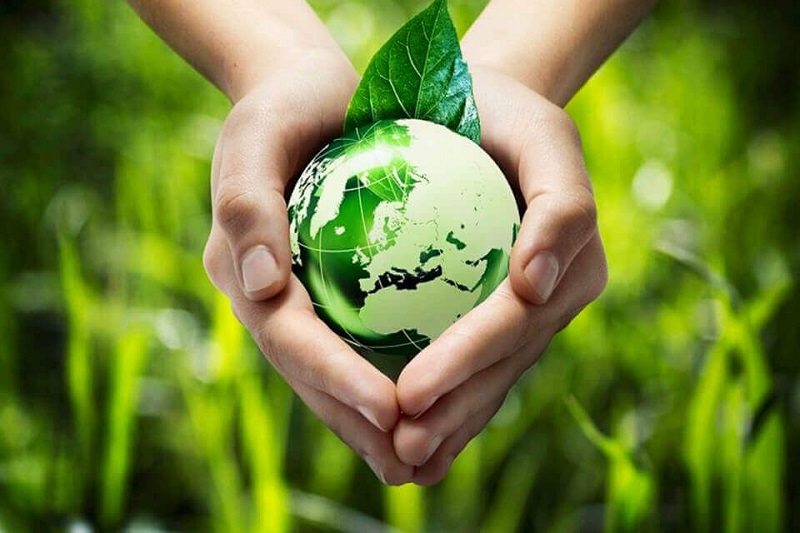 Lợi ích của việc sống xanh Lợi ích của việc sống xanh