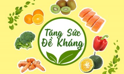 Tăng cường sức đề kháng