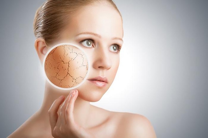 Những thay đổi của da trong mùa thu Những thay đổi của da trong mùa thu