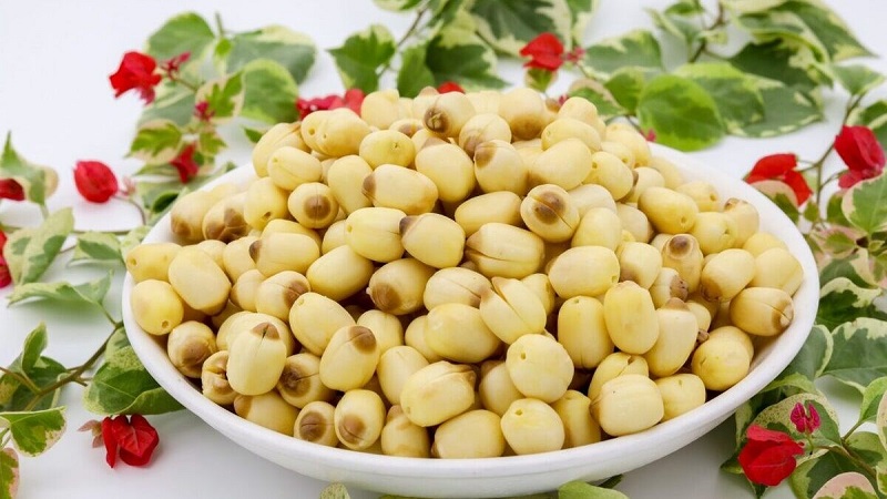 Bài thuốc bồi bổ khí huyết từ đỗ đen và hạt sen Bài thuốc bồi bổ khí huyết từ đỗ đen và hạt sen