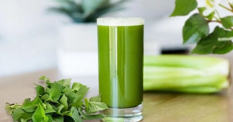 Chữa cao huyết áp bằng rau diếp cá Chữa cao huyết áp bằng rau diếp cá