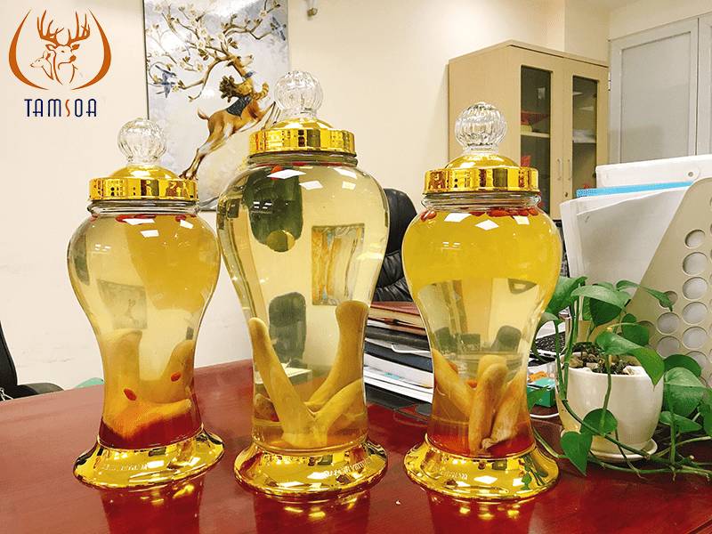 Sử dụng thêm rượu nhung hươu để tăng cường sinh lý nam Sử dụng thêm rượu nhung hươu để tăng cường sinh lý nam