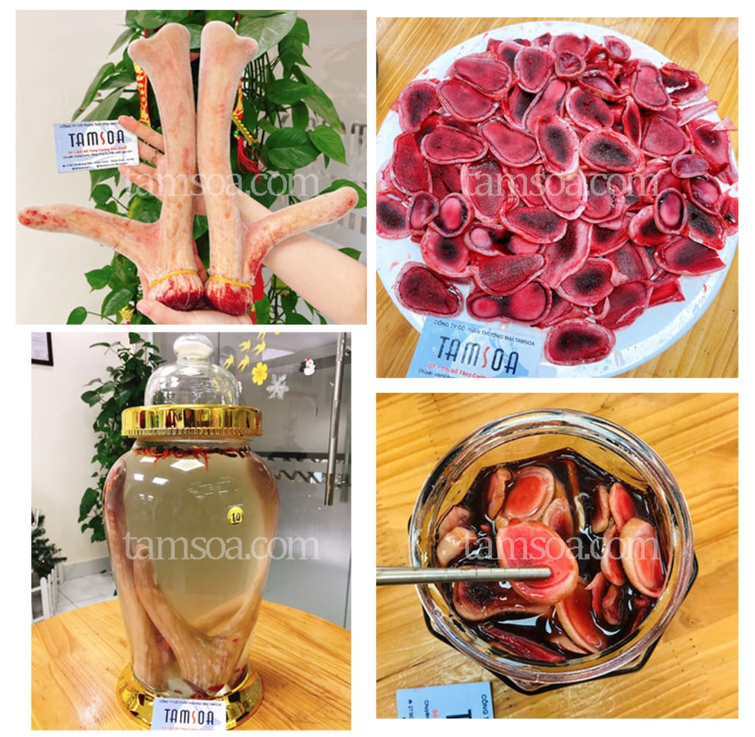 Một số hình ảnh sản phẩm nhung hươu của Tamsoa