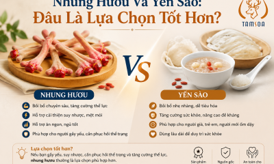 Nhung Hươu Và Yến Sào: Đâu Là Lựa Chọn Tốt Hơn?
