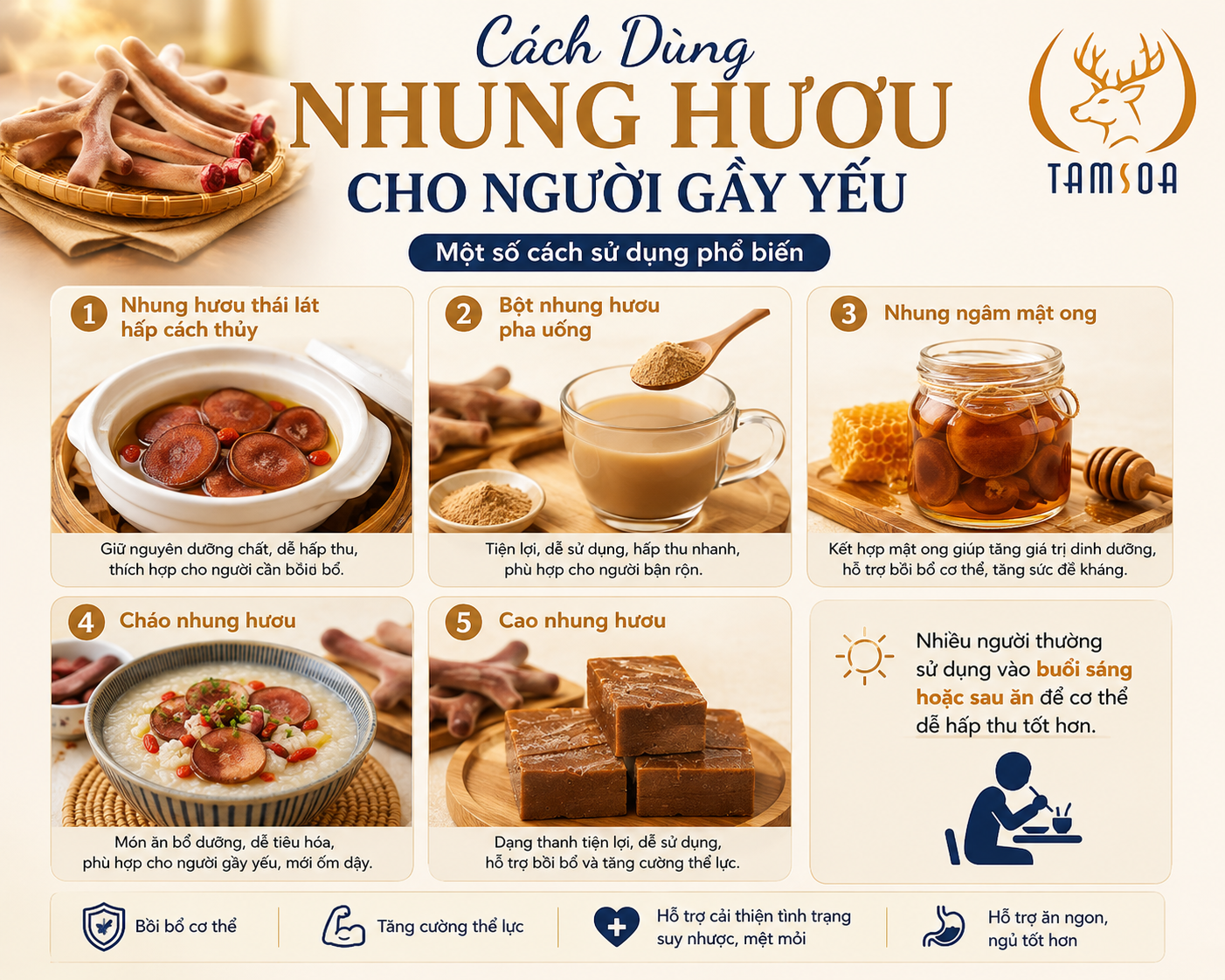 Cách Dùng Nhung Hươu Cho Người Gầy Yếu